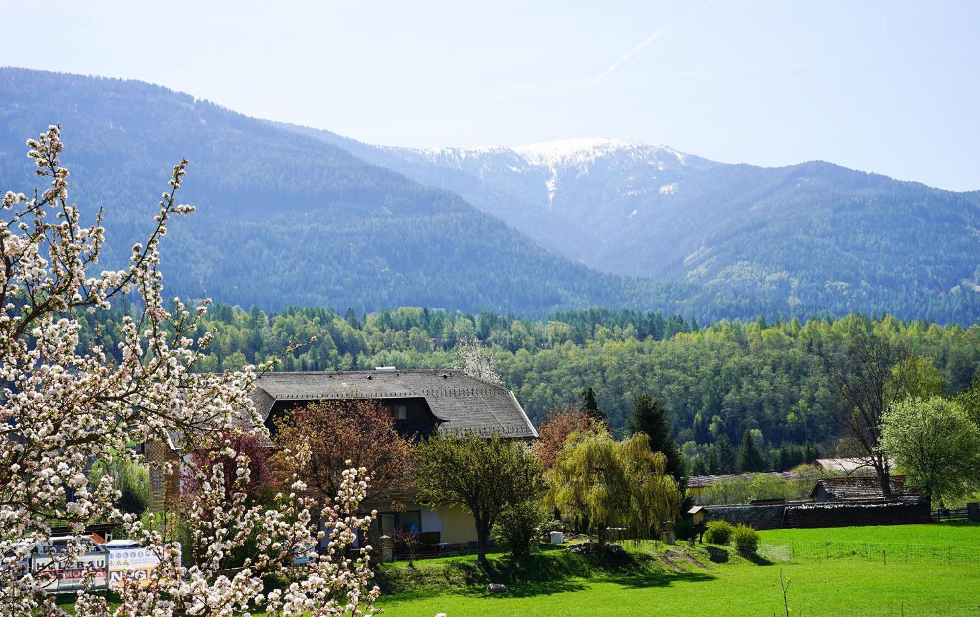 Fallerhaus Dom wakacyjny Gmünd